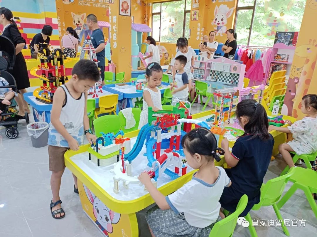 皇家迪智尼 I 面對(duì)琳瑯滿目的玩具，該如何選購！