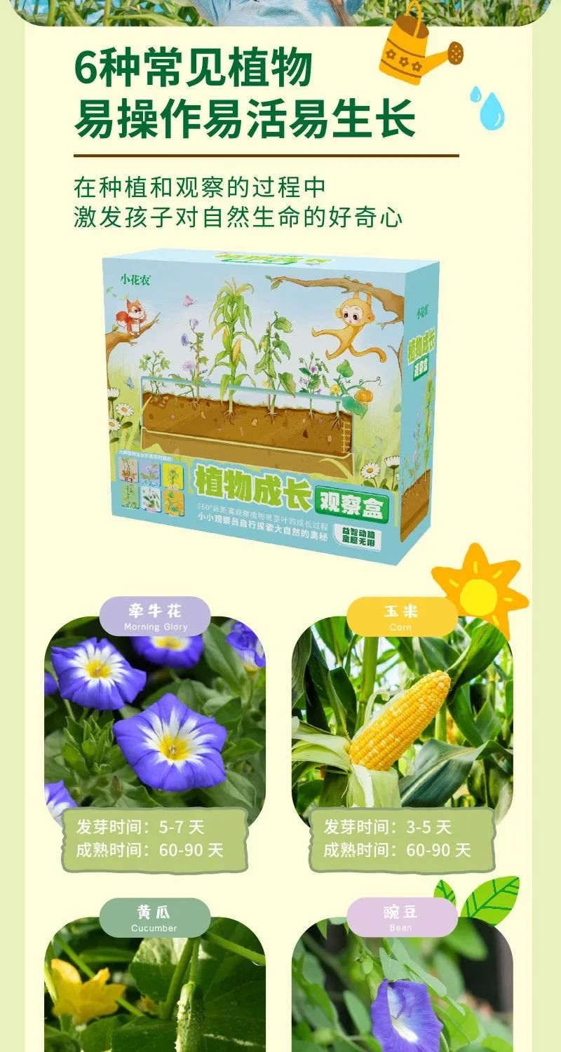 皇家迪智尼 I 兒童益智手工家庭園藝，爆款類手工種植攻略！
