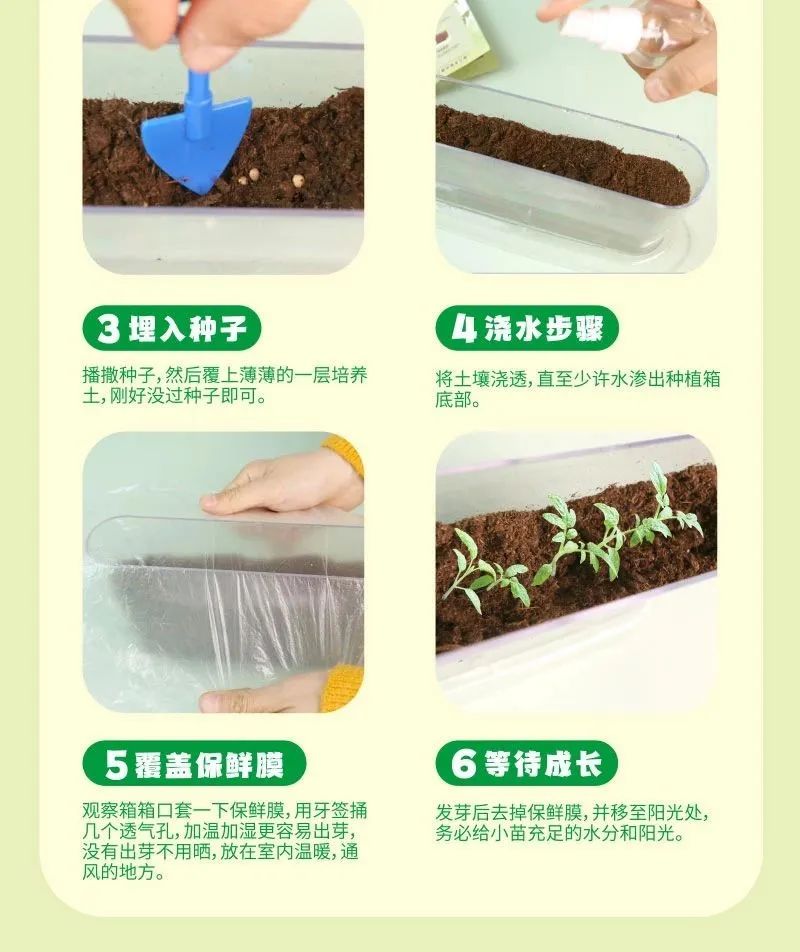 皇家迪智尼 I 兒童益智手工家庭園藝，爆款類手工種植攻略！