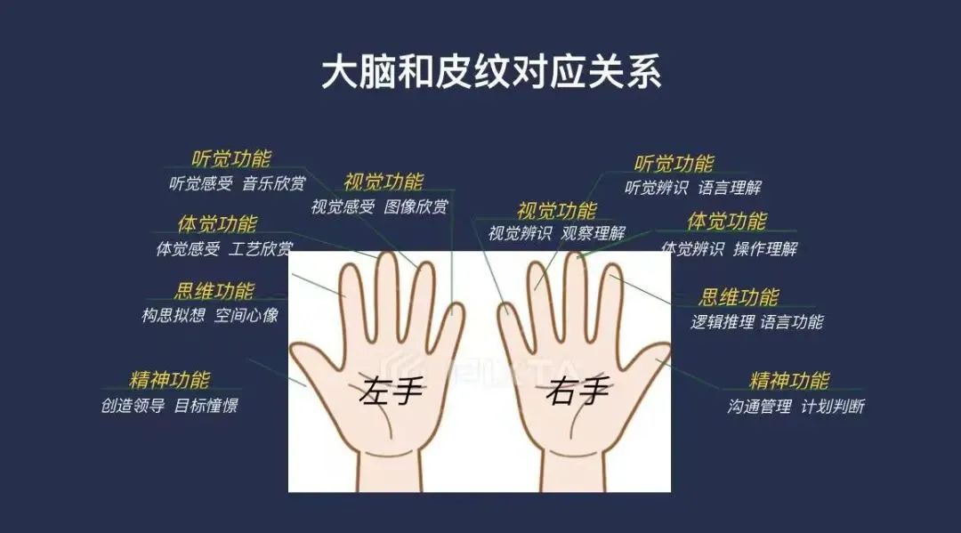 皇家迪智尼 I 營銷賦能益智玩具樂園結(jié)合天賦測評！